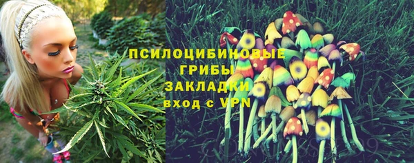 МДПВ Алексин